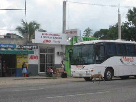 Bacalar autobuses - Compara los horarios y precios de boletos