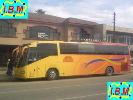 Maneadero autobuses - Compara los horarios y precios de boletos