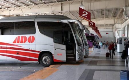 Paraiso autobuses - Compara los horarios y precios de boletos