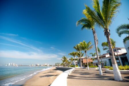 Puerto Vallarta-Gomez Palacio autobuses - Compara los horarios y precios de boletos