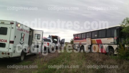 Saucillo autobuses - Compara los horarios y precios de boletos